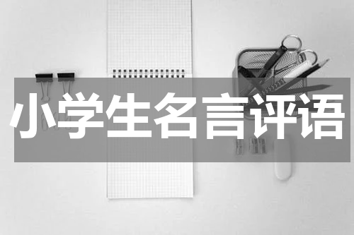 小学生名言评语
