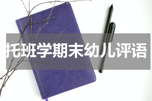 托班学期末幼儿评语