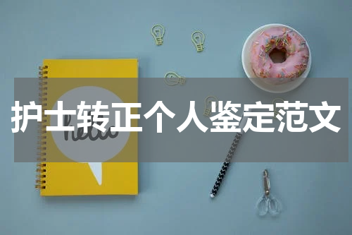 护士转正个人鉴定范文