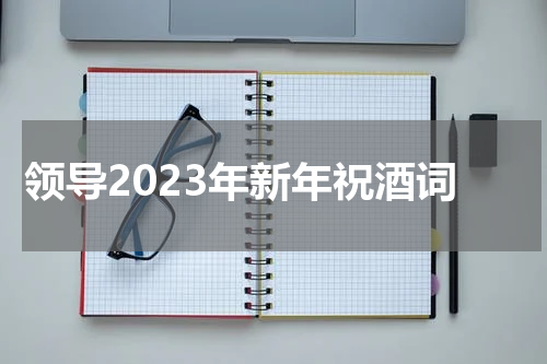 领导2023年新年祝酒词