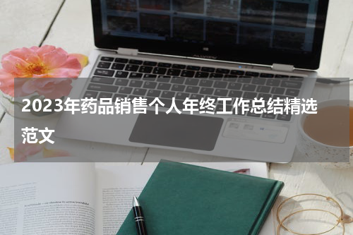 2023年药品销售个人年终工作总结精选范文