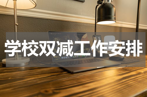 学校双减工作安排