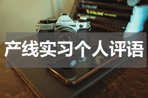 产线实习个人评语