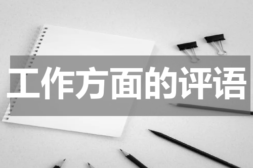 工作方面的评语