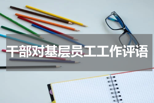 干部对基层员工工作评语