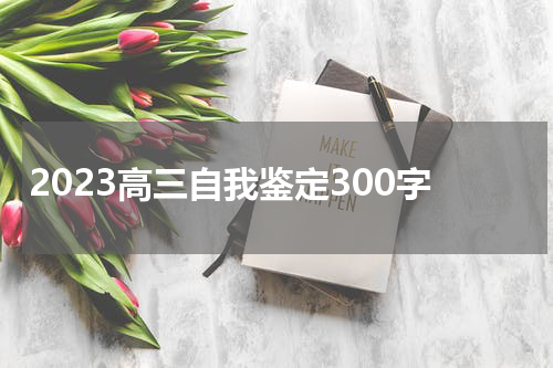 2023高三自我鉴定300字