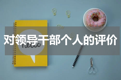 对领导干部个人的评价