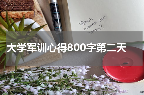 大学军训心得800字第二天
