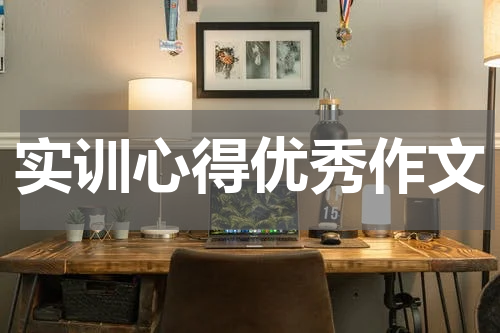 实训心得优秀作文