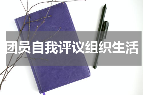 团员自我评议组织生活
