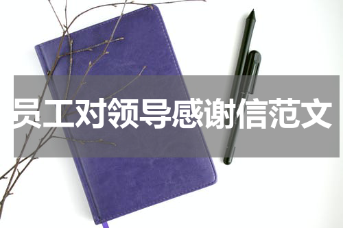 员工对领导感谢信范文