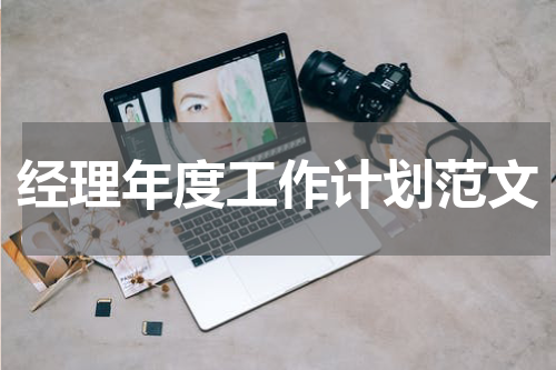 经理年度工作计划范文