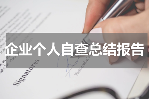 企业个人自查总结报告