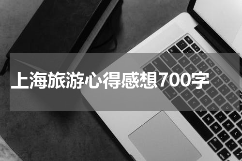 上海旅游心得感想700字