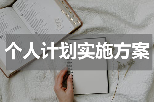 个人计划实施方案
