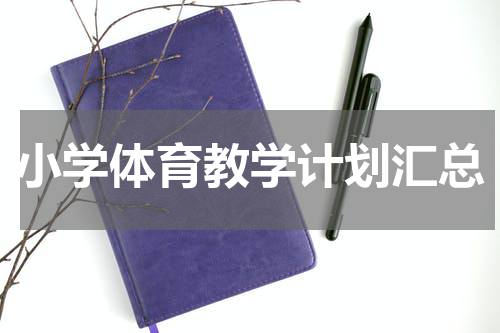小学体育教学计划汇总