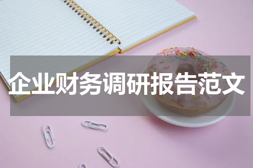 企业财务调研报告范文
