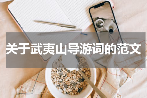 关于武夷山导游词的范文