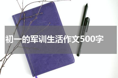 初一的军训生活作文500字