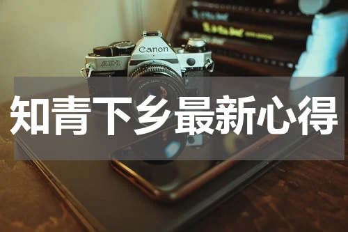 知青下乡最新心得