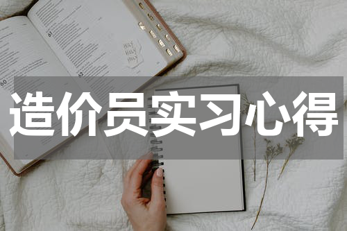 造价员实习心得