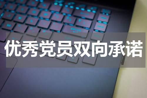 优秀党员双向承诺