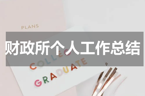 财政所个人工作总结