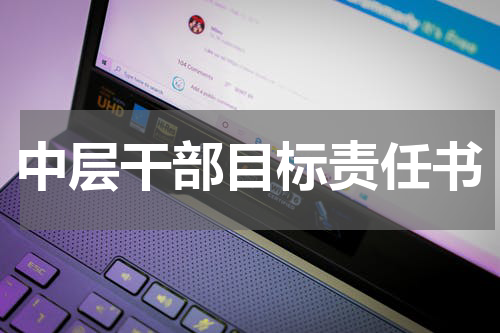 中层干部目标责任书
