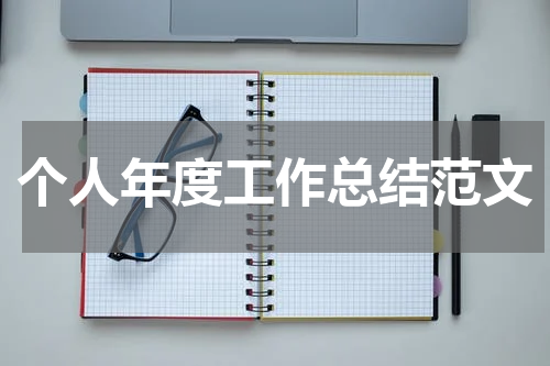 个人年度工作总结范文