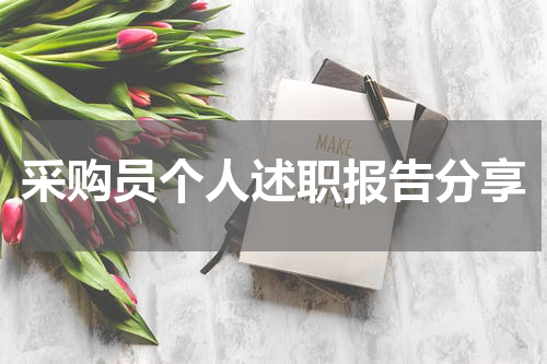 采购员个人述职报告分享