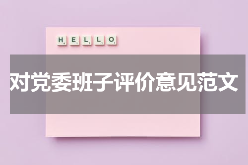 对党委班子评价意见范文