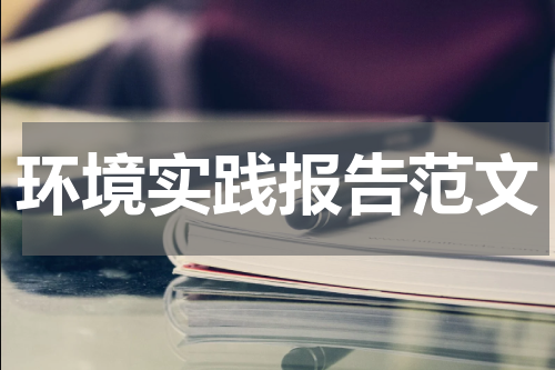 环境实践报告范文