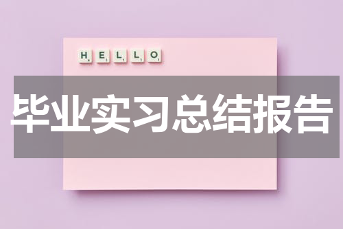 毕业实习总结报告