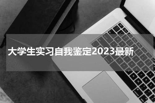 大学生实习自我鉴定2023最新