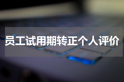 员工试用期转正个人评价