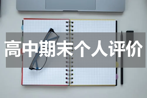高中期末个人评价