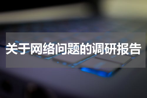 关于网络问题的调研报告