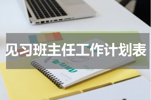 见习班主任工作计划表