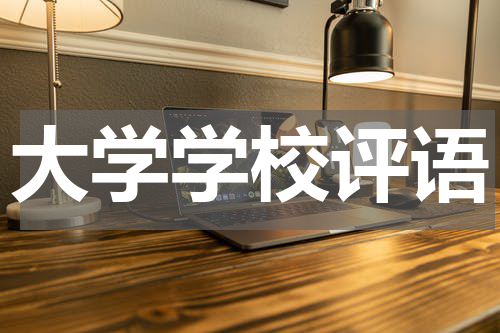 大学学校评语