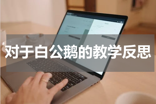 对于白公鹅的教学反思