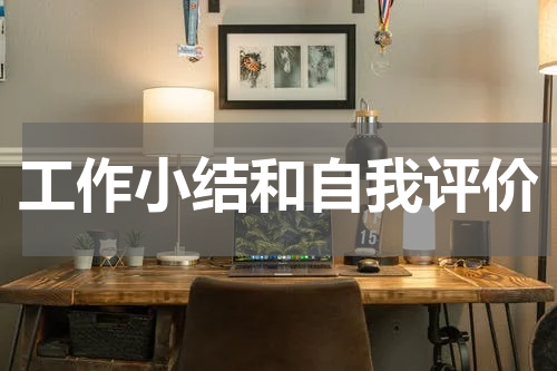工作小结和自我评价