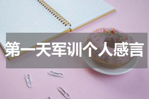 第一天军训个人感言