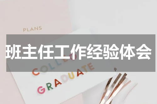 班主任工作经验体会