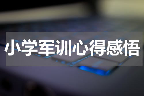 小学军训心得感悟