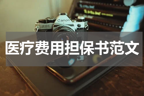 医疗费用担保书范文