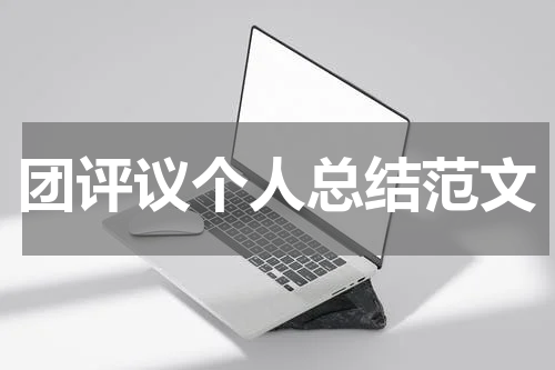 团评议个人总结范文
