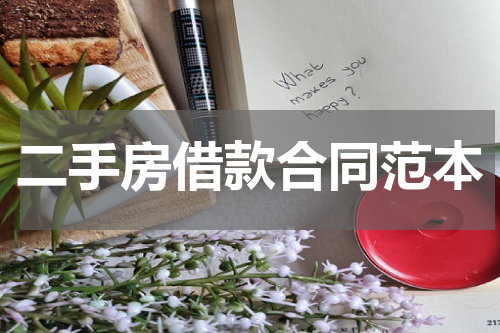 二手房借款合同范本