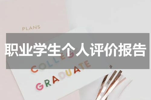 职业学生个人评价报告