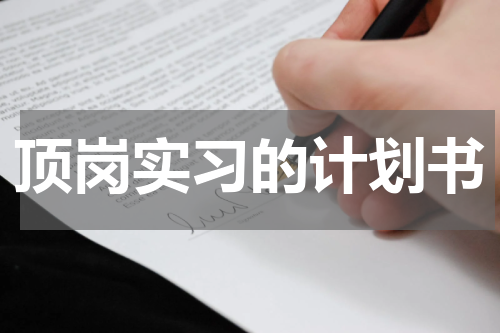 顶岗实习的计划书