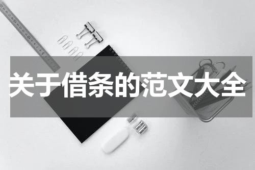 关于借条的范文大全